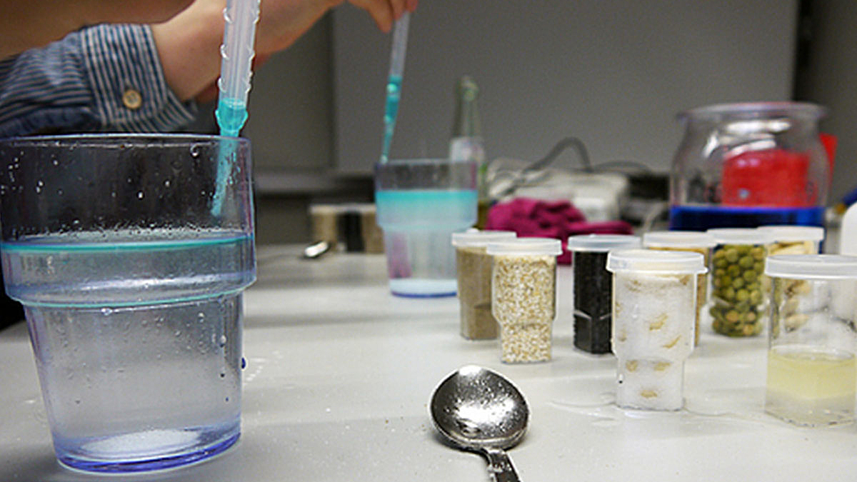 Foto: Chemisches Experiment beim Workshop LeibnizLab für Lehrkräfte